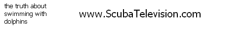 Videos related to scuba diving