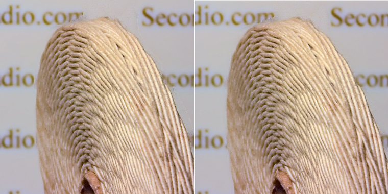 3D photograph